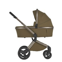 Anex Детская коляска Flo 2 в 1 Astra
