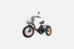 Электровелосипед Kugoo Trike 750W 48V 15.6Ah