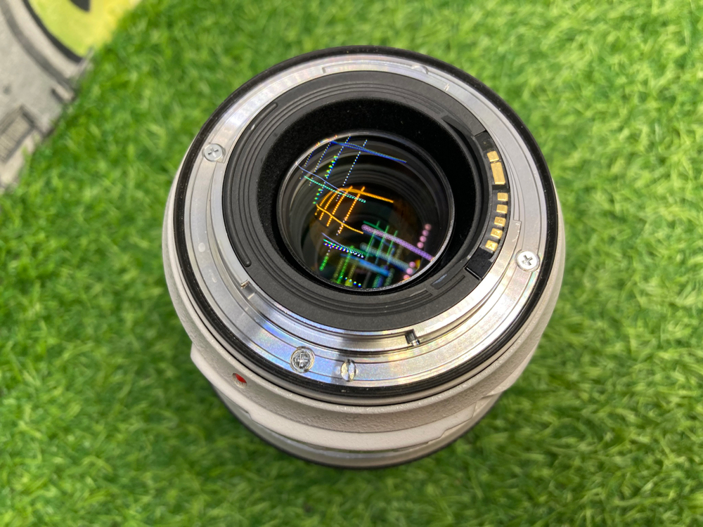 Canon EF 70-300mm 4-5.6L IS USM
