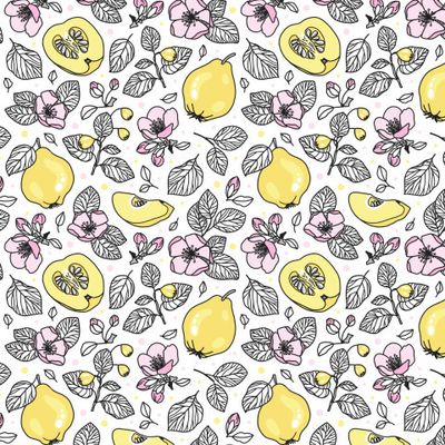 Цветущая айва