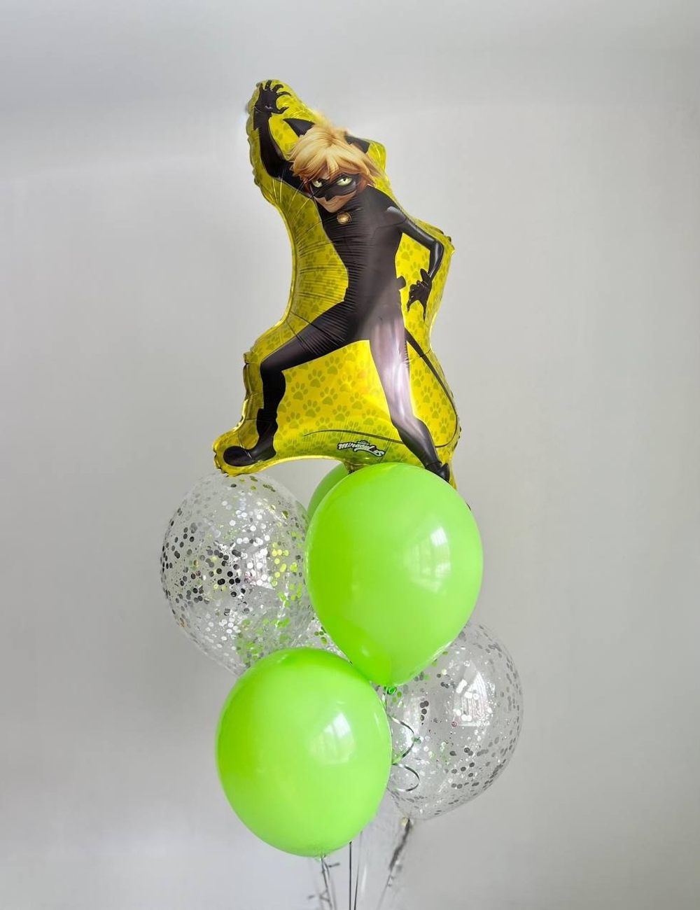 Воздушные шары Супер Кот №3080