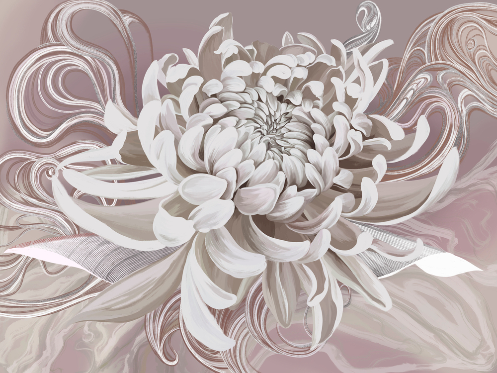 Коллекция SOLO 22