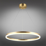 Подвесная светодиодная люстра Aployt Armel APL.049.13.40