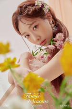 Альбом DIA - Flower 4 Seasons 6th Mini Album RANDOM Version