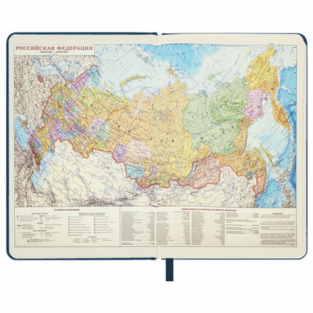 Ежедневник недатированный БОЛЬШОЙ ФОРМАТ 210х297мм А4, BRAUBERG Iguana, 160л, синий, 114451