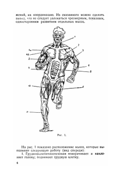 Упражнения с гантелями, амортизатором, гирями | Б.Г. Пустовойт
