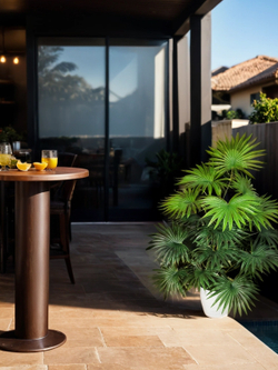 Искусственная Пальма веерная 75см в кашпо