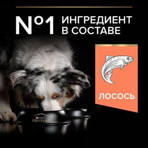 Сухой корм Pro Plan для взрослых собак средних пород с чувствительной кожей, с высоким содержанием лосося