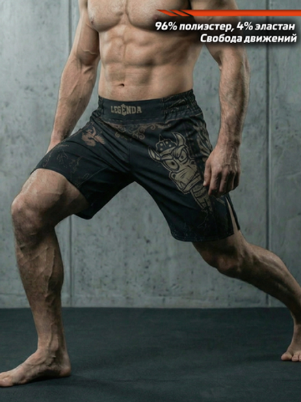 Шорты спортивные тренировочные LEGENDA Горыныч
