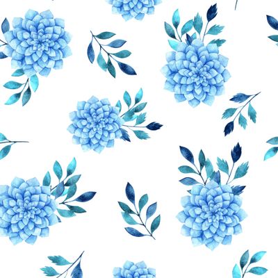Зимние суккуленты