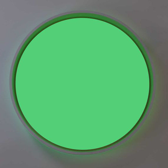 Светильник потолочный Citilux ENZO CL753510G