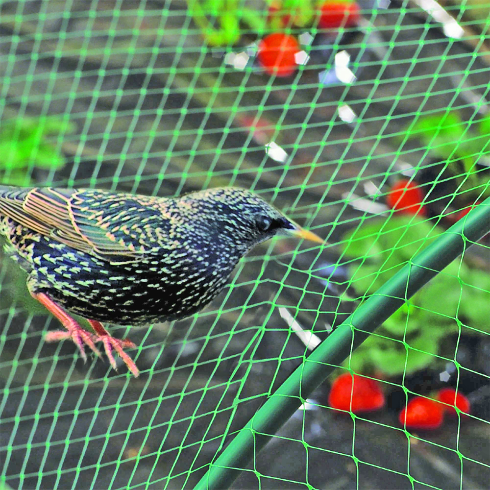 Сетка от птиц 2*10м