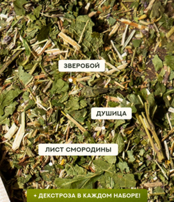 Набор трав и специй ЗДОРОВЬЕ АЛТАЯ