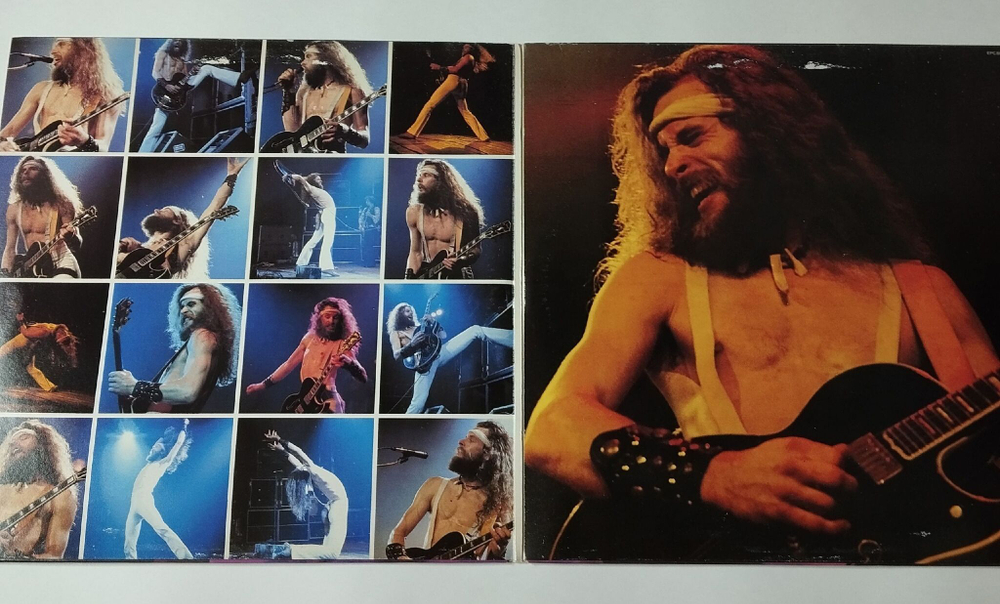 Винтажная виниловая пластинка LP Ted Nugent Double Live Gonzo (Holland 1978)