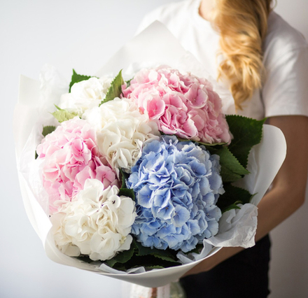 Букет "Облака из гортензий"