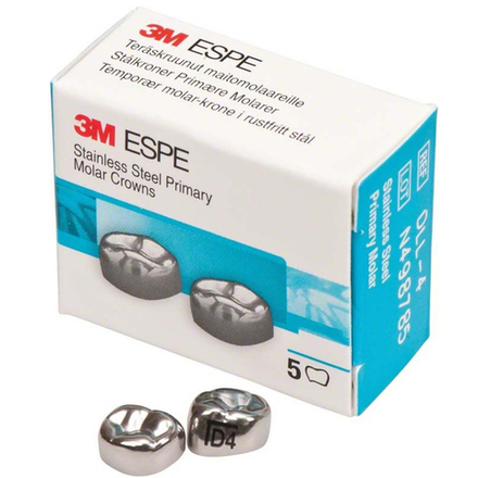 Первый нижний левый моляр, размер 4 (D-LL-4)