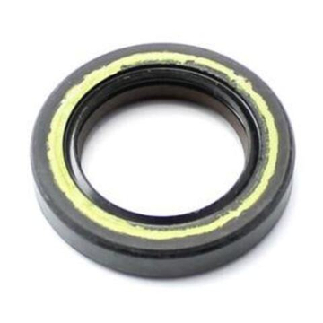 Сальник 28х38х7 тефлон Rotax