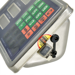 Весы электронные беспроводные платформенные напольные Delta до 150 кг, 30х40 см ТВП2-150