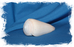 Морская раковина Конус Вирго,  Conus virgo
