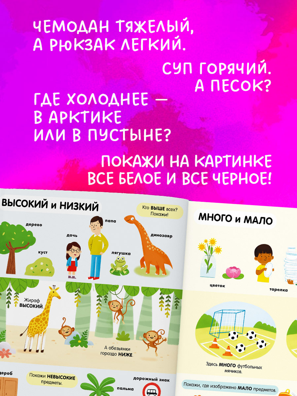 Найди и покажи. Большая книга. Логика