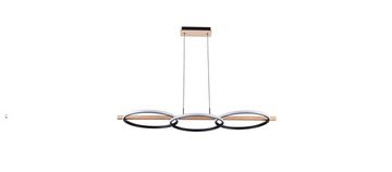 Подвесная люстра 44W 2700-6000K A3913SP-24BK черный Fluido Arte Lamp.