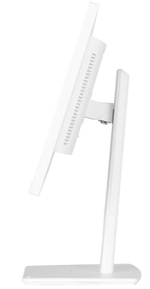 Монитор 23,8" Iiyama ProLite XUB2497HSU-W2