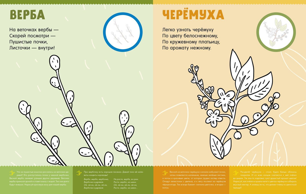 Первая раскраска с наклейками. Времена года