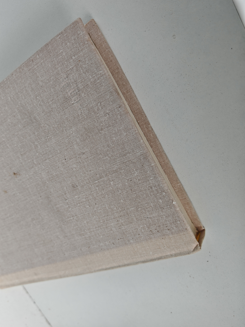 Помощник (Книга о Паланке)