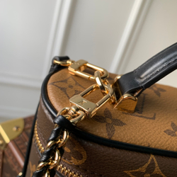 Louis Vuitton Vanity Chain Pouch