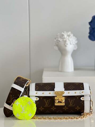 Louis Vuitton Papillon Trunk