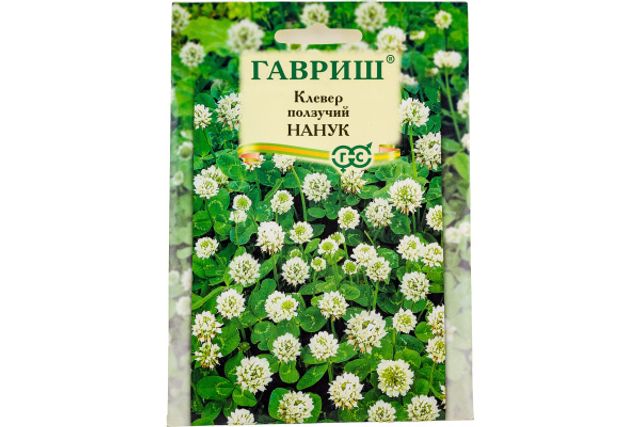 Сидераты
