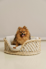 Лежанка из лозы "Пони-Набалкони"