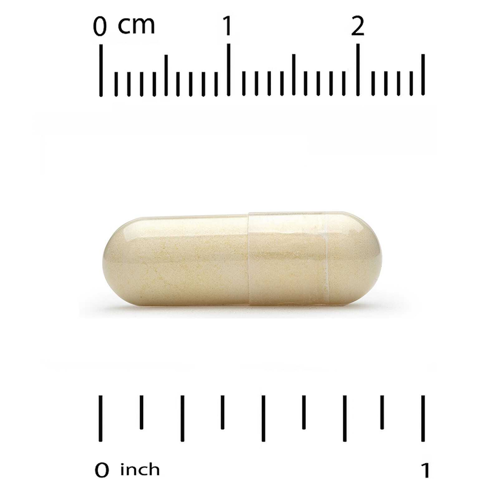 California Gold Nutrition, протеолитические ферменты со смесью фруктовых ферментов, рутином, альтернативной смесью панкреатина и серратиопептидазой, 90 растительных капсул с отсроченным высвобождением