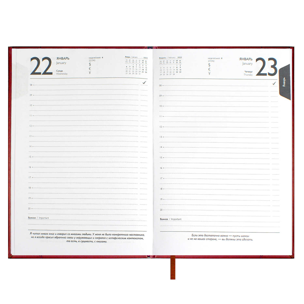 Ежедневник датированный 2025 ESCALADA, #ИЛОН МАСК, А5, 176 л.