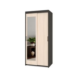 Шкаф-купе двухстворчатый "Томас" Т22 (венге/дуб млечный), ЛДСП, MODERN