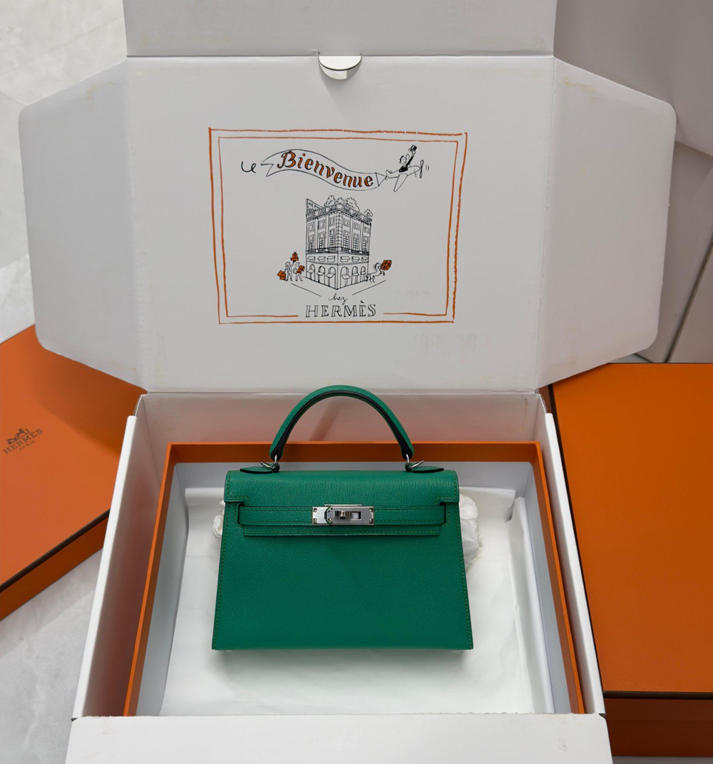 Сумка Hermes