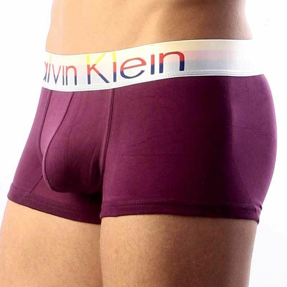 Мужские трусы хипсы Calvin Klein Steel Multicolor Purple