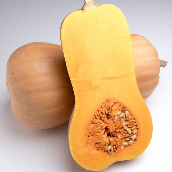 Матильда F1 семена тыквы (Enza Zaden / Энза Заден) культура – фото 5