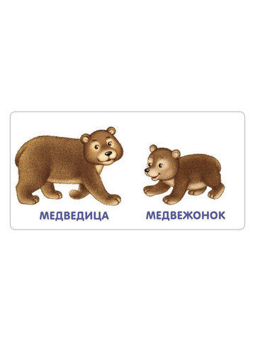 Книжки - картонки. Животные и детёныши