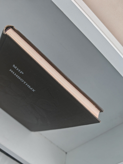 Мир животных. Рассказы о насекомых