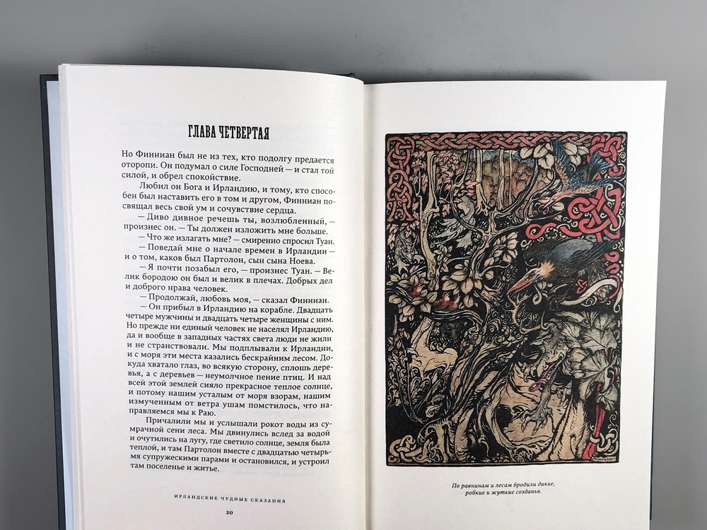 Ирландские чудные сказания