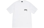 Футболки Stussy FW22 Ist Lion Tee Logo T, 1904821