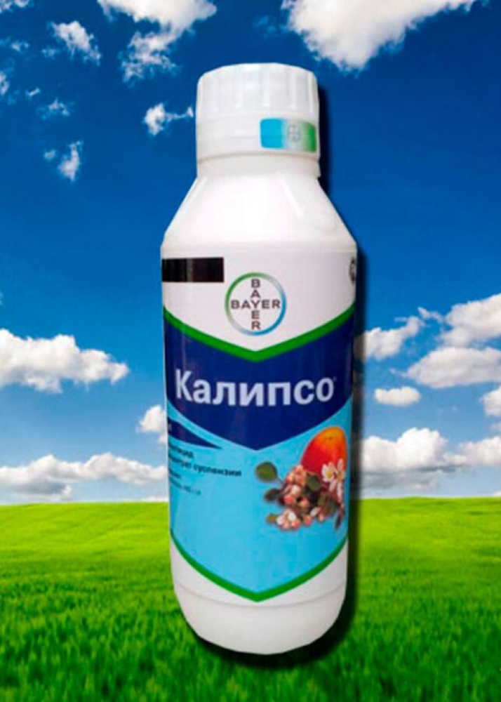 Калипсо 50 мл Закупка М33 в наличии