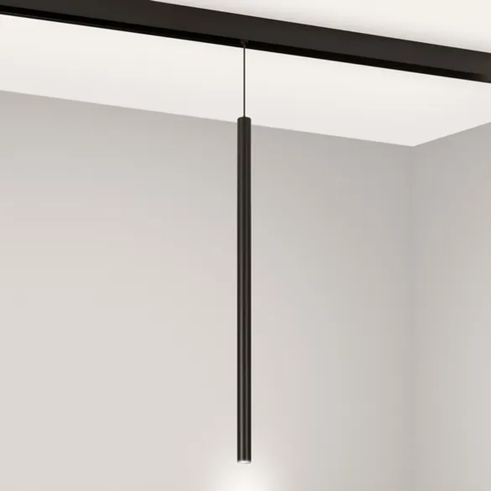 Светильник MAG-ORIENT-SPOT-HANG-L500-R20-3W Day4000 (BK, 20 deg, 48V) (Arlight, IP20 Металл, 5 лет) 044505