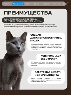 Корм сухой для стерилизованных кошек породы Русская голубая, с лососем, 5 кг, QUATTRO