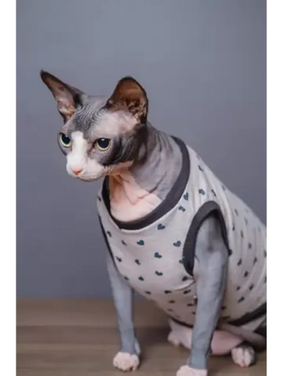 Майка для собак и кошек