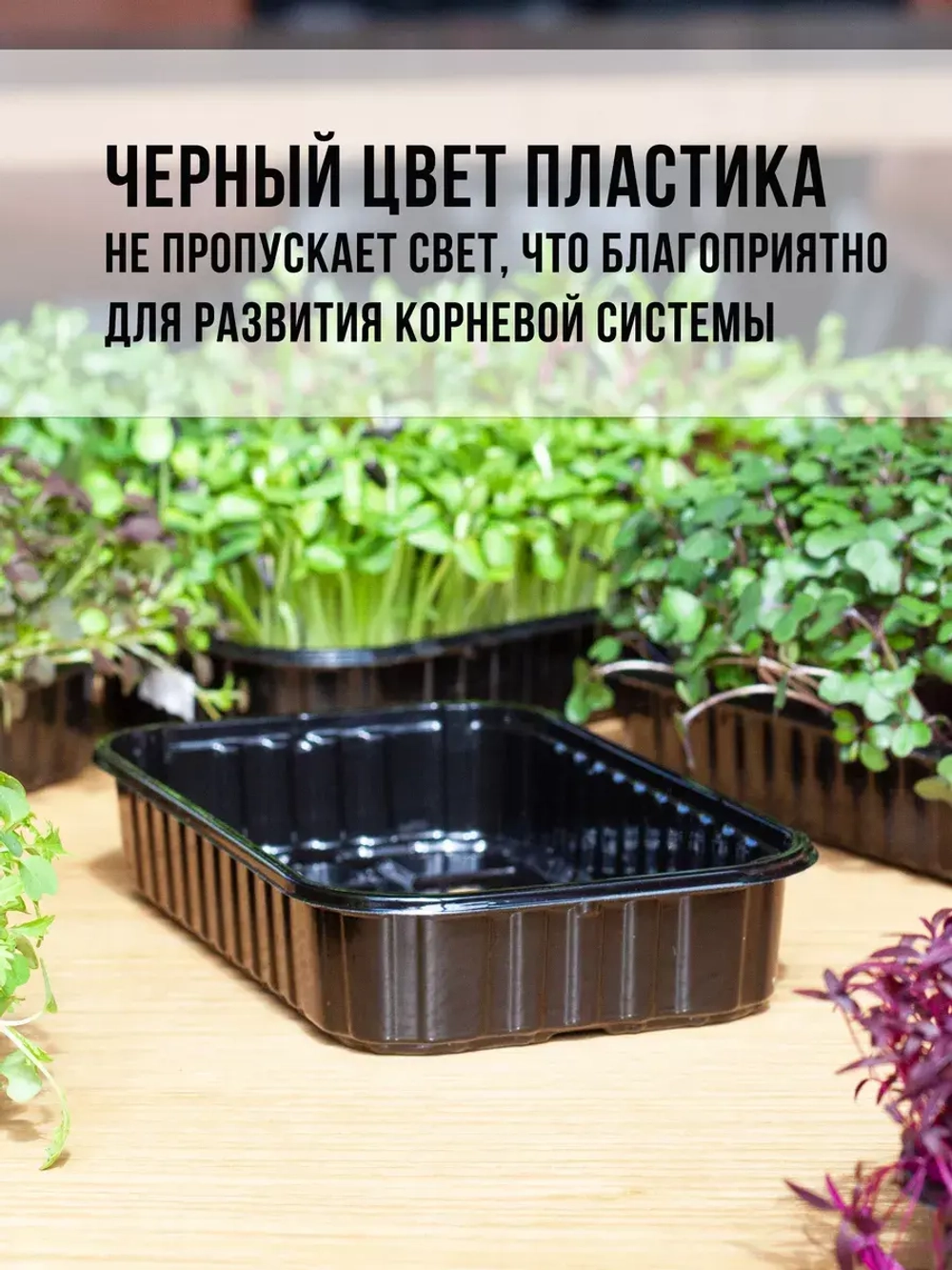 Лотки для выращивания микрозелени пластиковые 900 МЛ, 30 ШТ