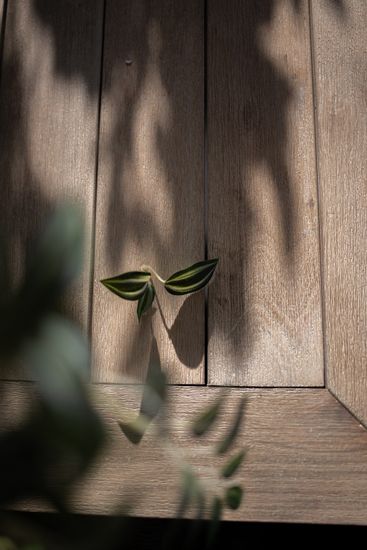 Стол деревянный обеденный Kia