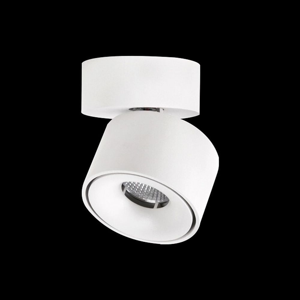 Спот Citilux Стамп CL558010N