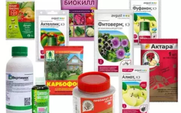 Средства от насекомых вредителей
